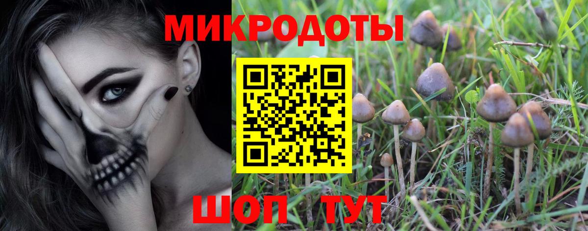 Галлюциногенные грибы GOLDEN TEACHER  Вход с VPN  купить наркоту  Подольск  Галлюциногенные грибы GOLDEN TEACHER 